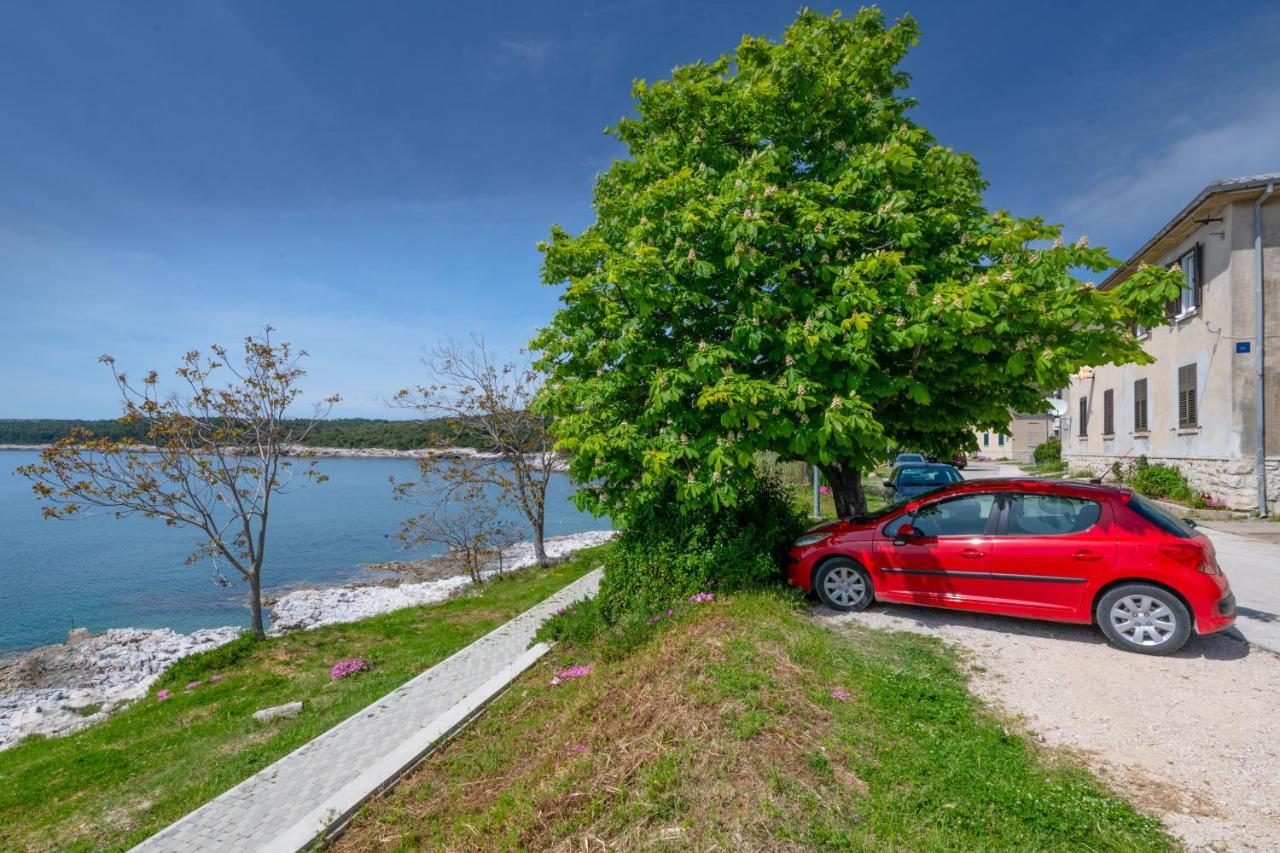 Apartment Dobric Koromačno 외부 사진
